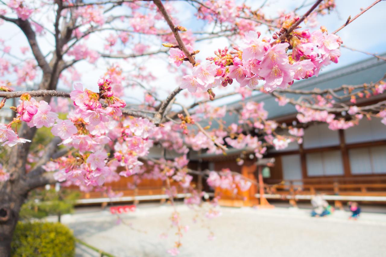 Stay Sakura Kyoto Shijo Karasuma Buitenkant foto