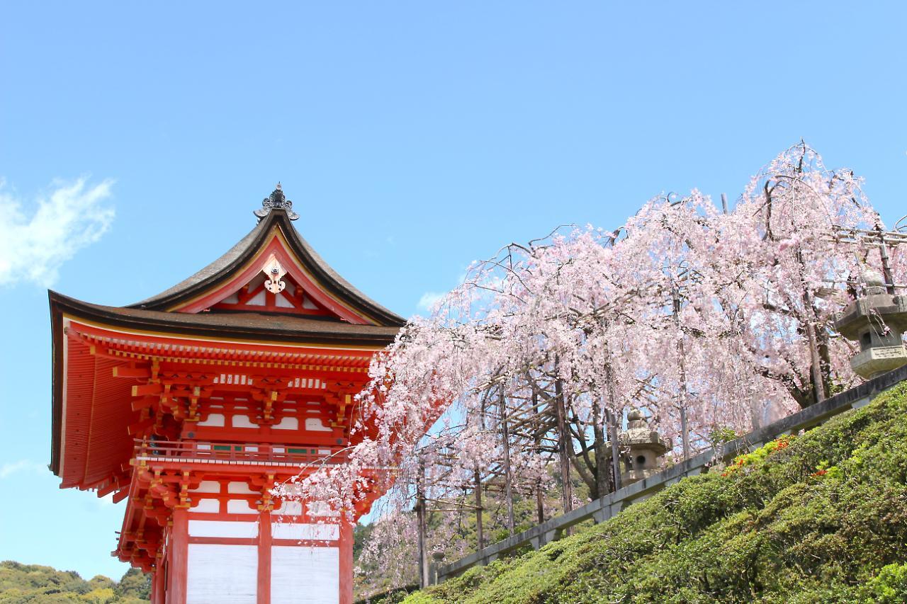 Stay Sakura Kyoto Shijo Karasuma Buitenkant foto