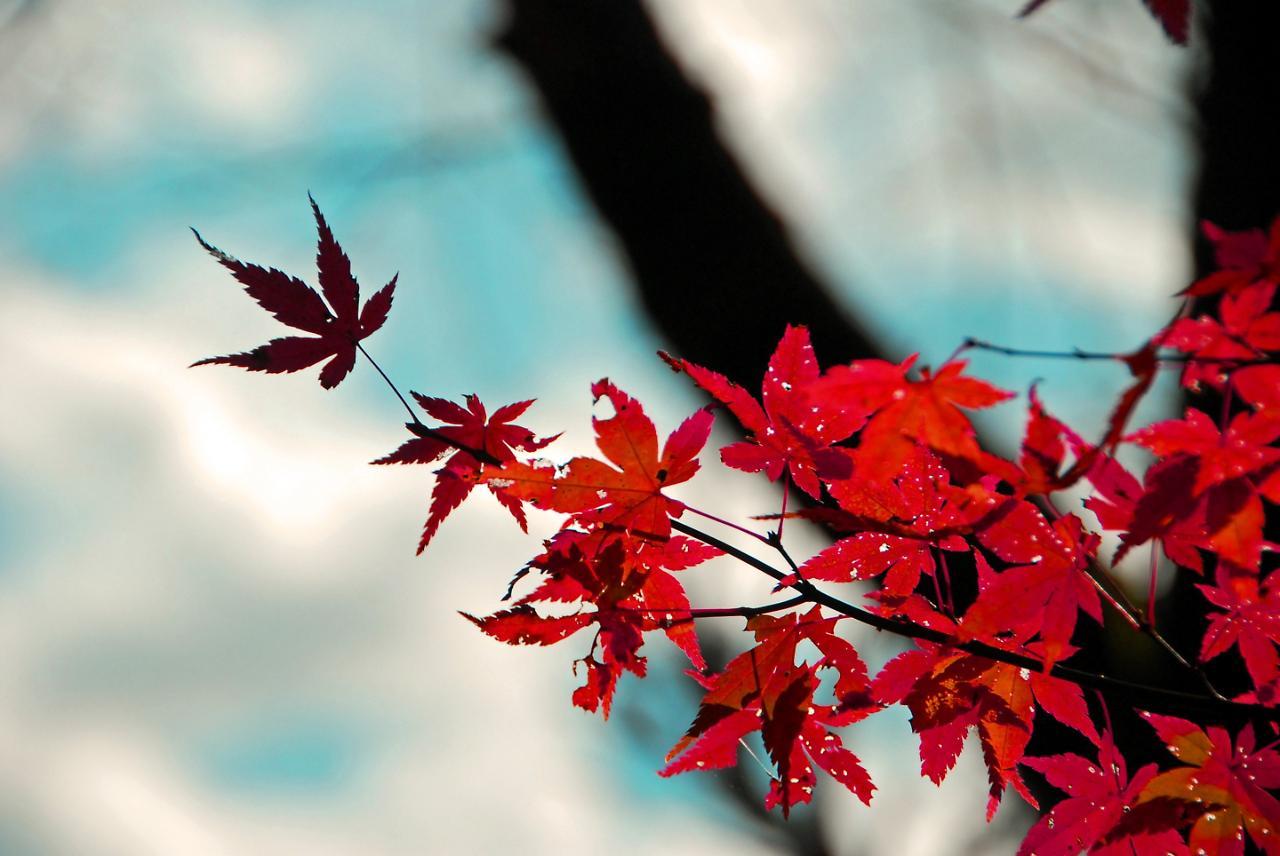 Stay Sakura Kyoto Shijo Karasuma Buitenkant foto