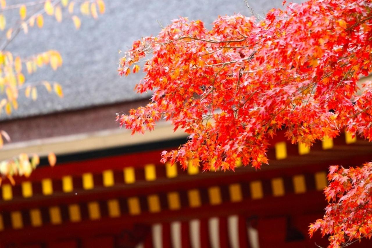 Stay Sakura Kyoto Shijo Karasuma Buitenkant foto